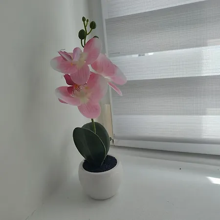 Apartment Hetman *